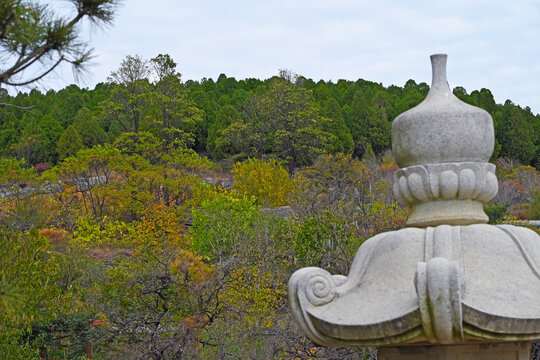 深秋石佛寺