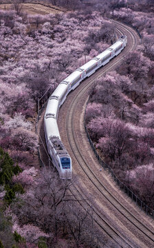 北京S2号线花海