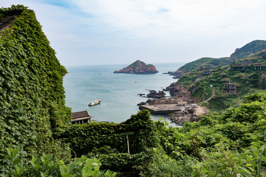 枸杞岛绿野仙踪