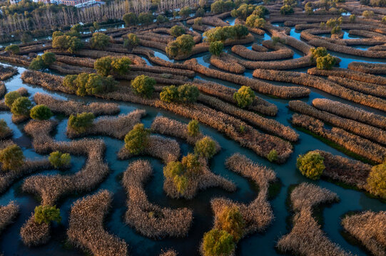 盐城市大纵湖风光