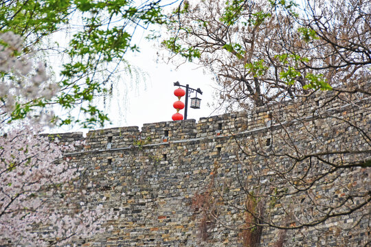 城墙春景