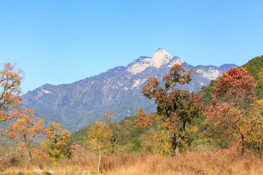 圣人堂村红叶