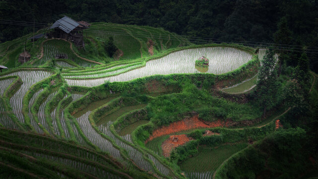 加榜梯田