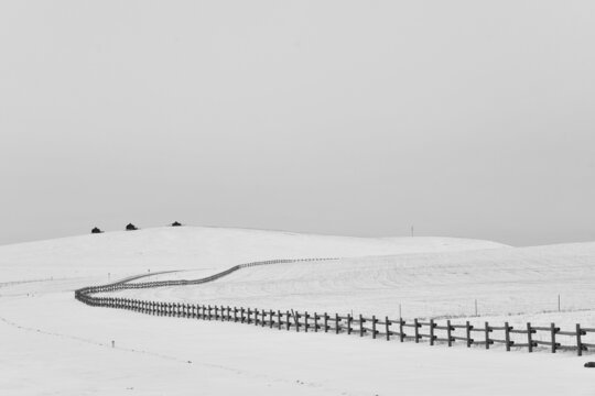 雪原