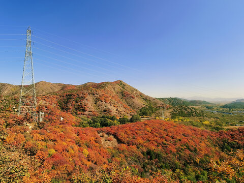 北京顺义舞彩浅山红叶