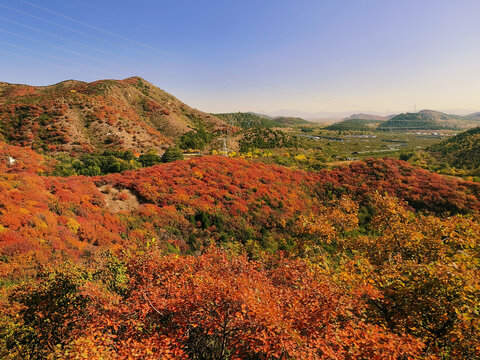 北京顺义舞彩浅山红叶