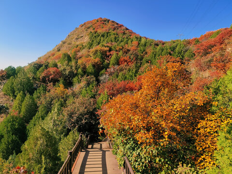 北京顺义舞彩浅山红叶