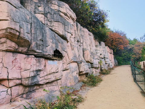 北京西山鬼笑石