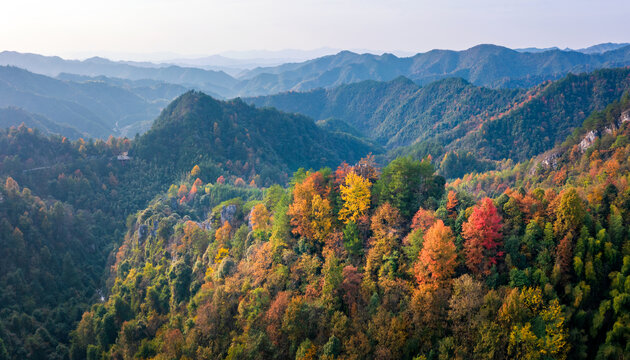 山川森林秋天秋色彩林美丽景象