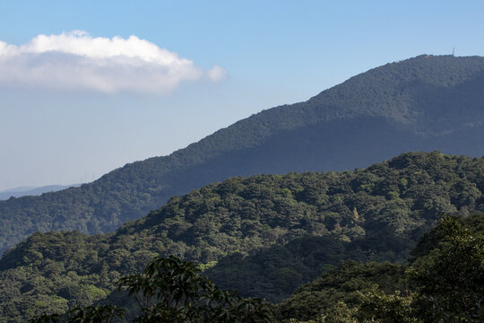 深圳梧桐山