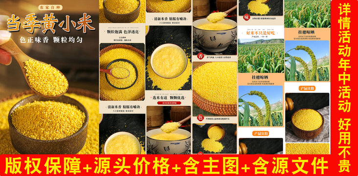 當季黃小米詳情頁