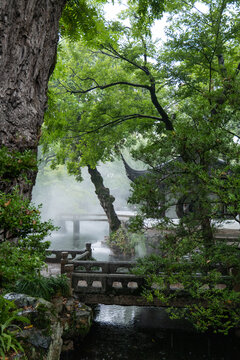 雨中园林