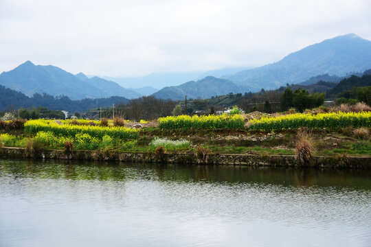 江湾