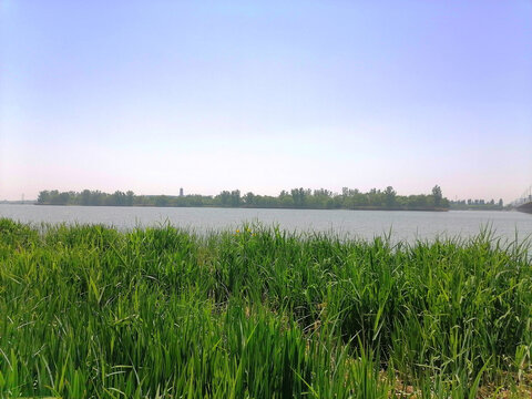 滹沱河生态湿地
