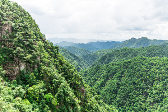 山景