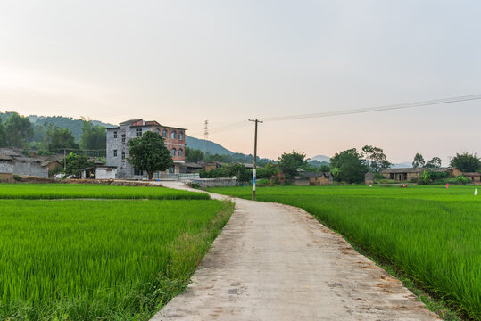 横县农村