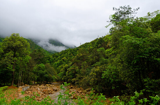 山林