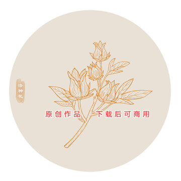 线描洛神花