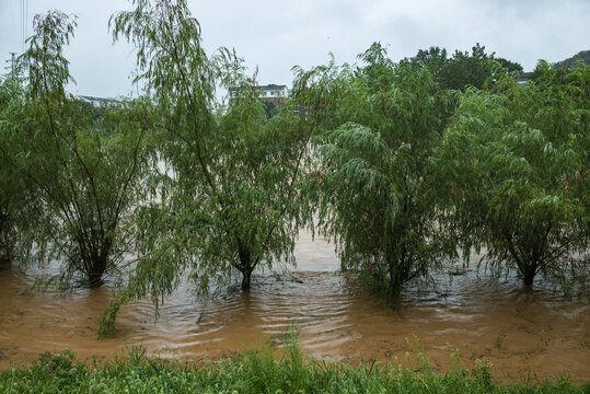 洪水素材