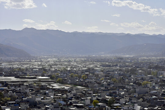 西川早春