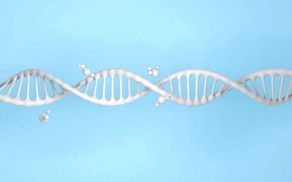 白色橫幅DNA
