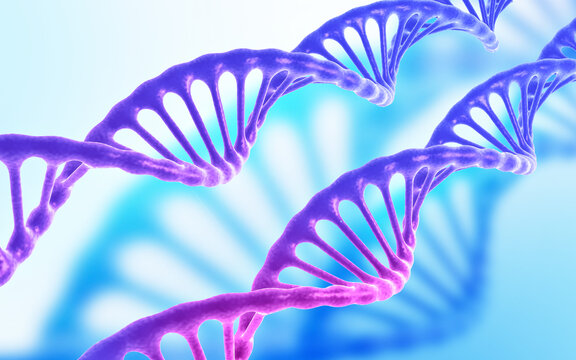 藍(lán)紫色DNA