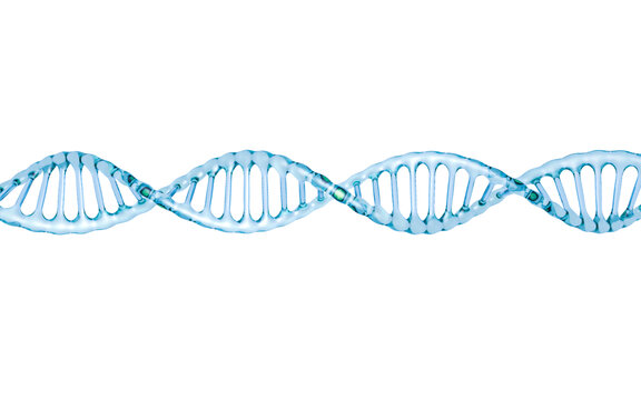 玻璃透明DNA