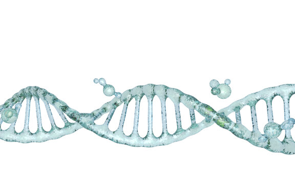 透明水分子DNA