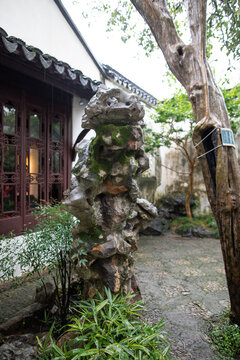 阴雨网师园