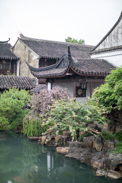 网师园庭院