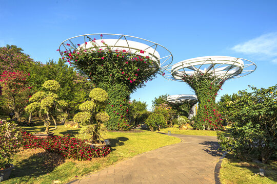 南宁市青秀山叶子花园