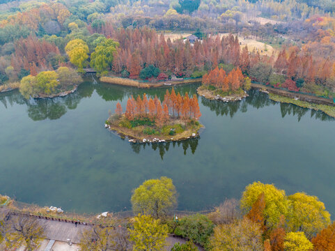 航拍冬日的济南森林公园