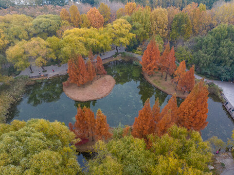 航拍冬日的济南森林公园