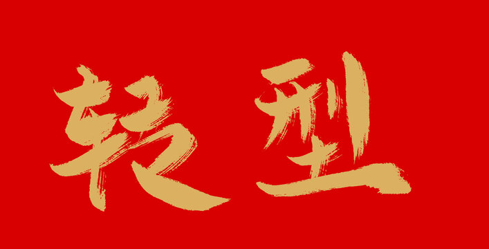 轉(zhuǎn)型