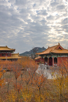 青州风景