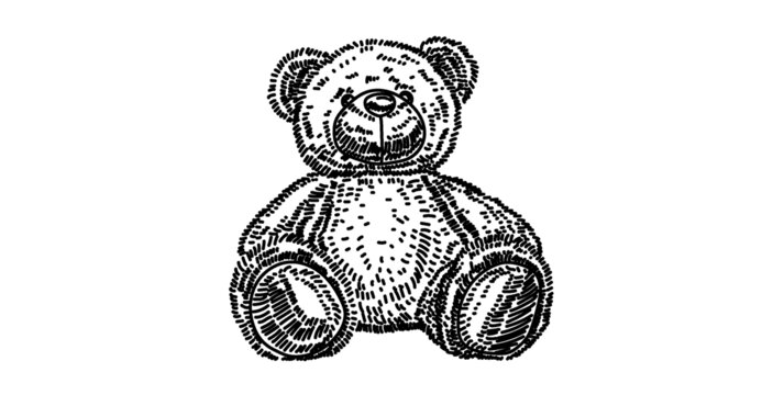 小熊玩偶插图
