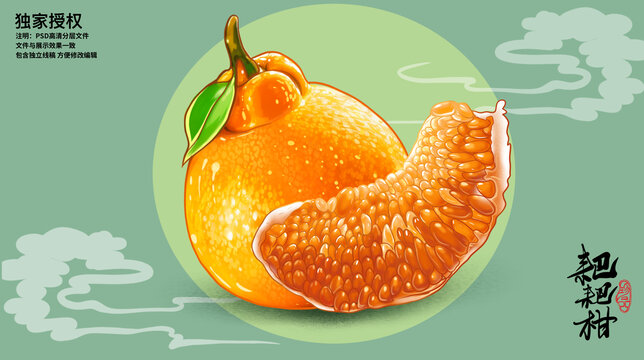 耙耙柑插畫(huà)