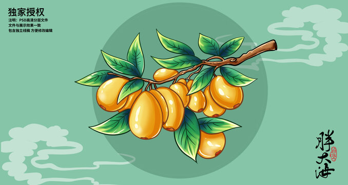 胖大海插畫