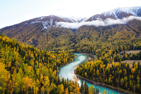 喀納斯秋景