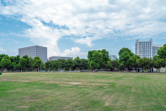 城市公园绿化环境