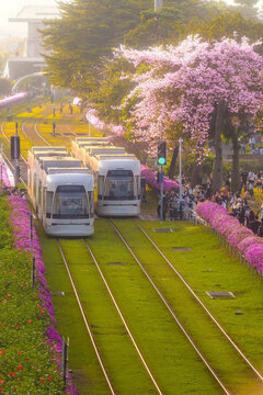 广州观光有轨列车