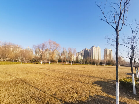 景观园林秋景