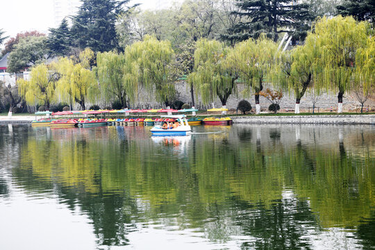 山东滕州荆河公园