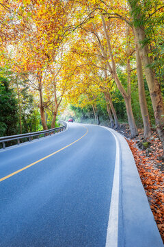 彩林公路秋色