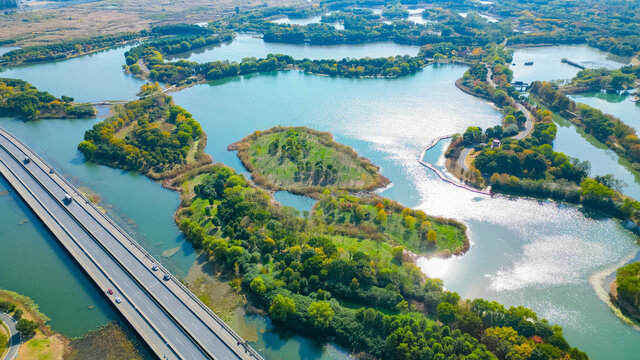 虎丘湿地公园