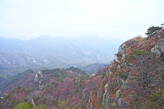 龟蒙山秋色