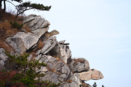 蒙山群龟探海