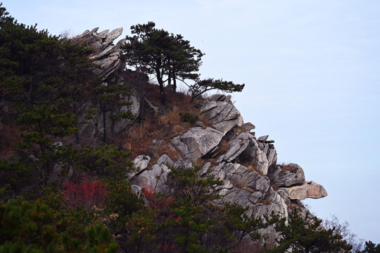 蒙山群龟探海