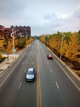 秋日的街道