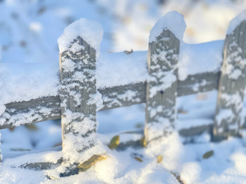 白雪